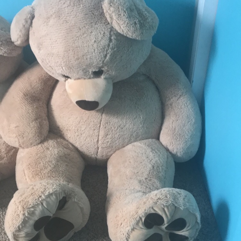 VALENTINE’S HUGE TEDDY BEAR